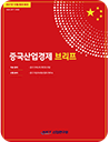 중국산업경제브리프 표지