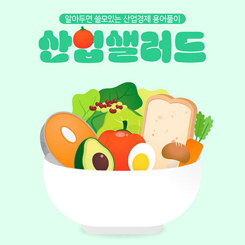 카드뉴스_알아두면 쓸모있는 산업경제 용어풀이 산업샐러드 Chapter 1 - 『 캐즘 』