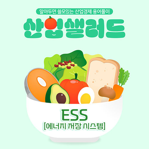 카드뉴스_알아두면 쓸모있는 산업경제 용어풀이 산업샐러드 Chapter 2 - 『 ESS 』