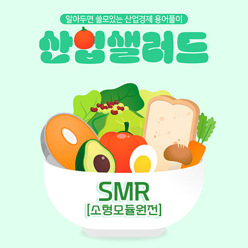 카드뉴스_알아두면 쓸모있는 산업경제 용어풀이 산업샐러드 Chapter 9 -  SMR