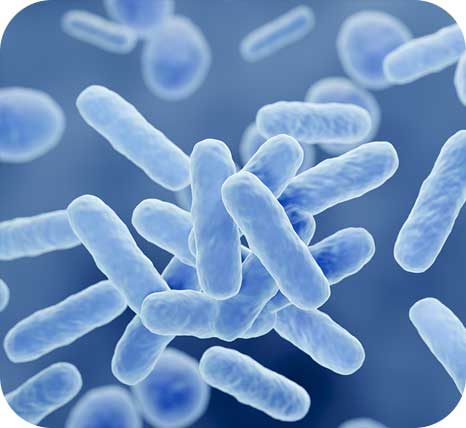 슬라이드배너_美 생물보안법 발효가 한국 제약바이오산업에 미치는 영향과 시사점